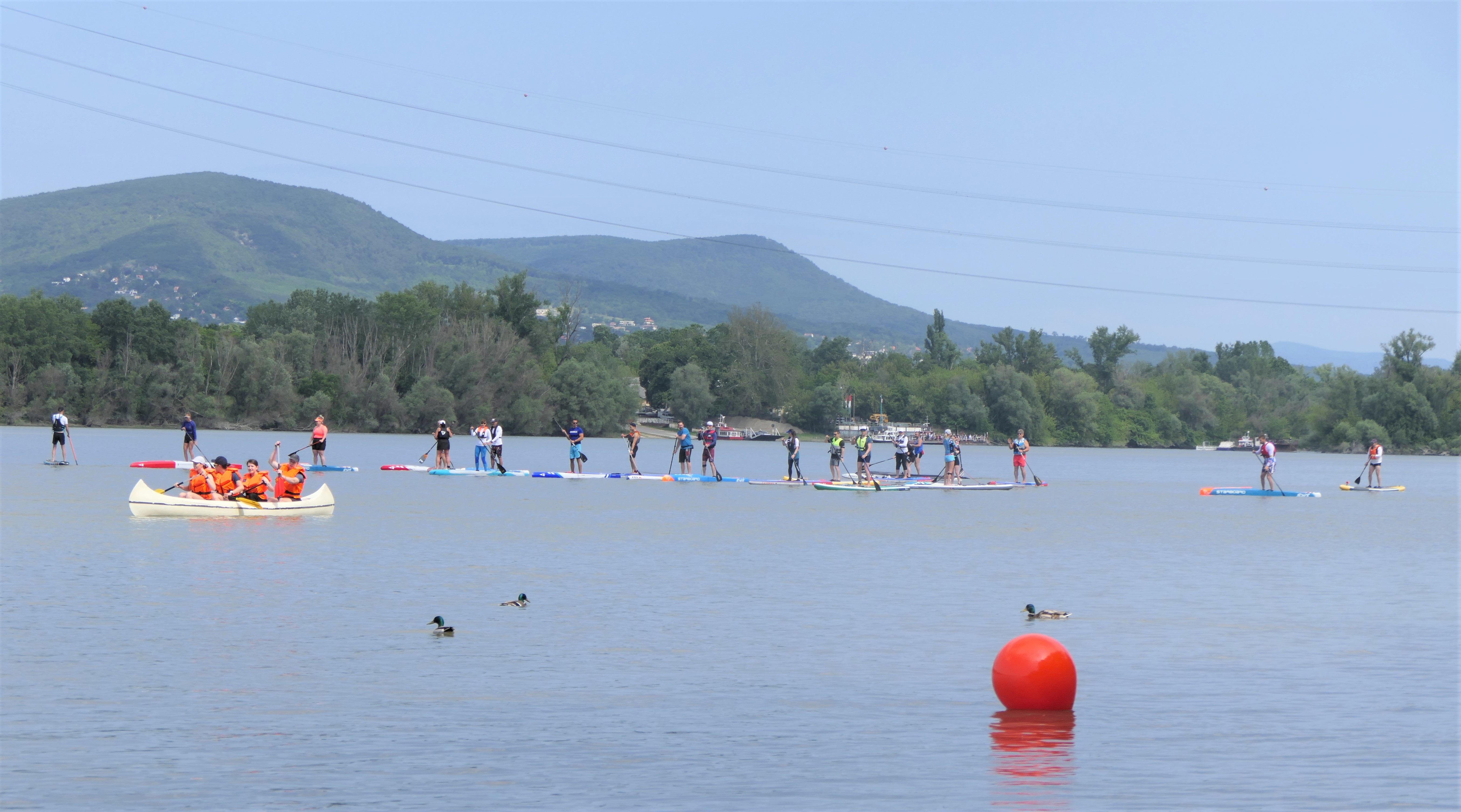 dunakeszi bázis céges sárkányhajózás regatta és gasztro